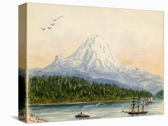 Stretched Canvas Print, , large
