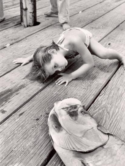 Photographic Print, , large