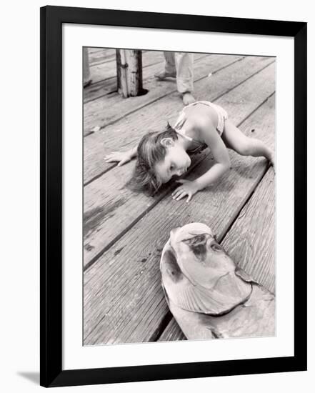 Photographic Print, , large
