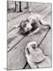 Photographic Print