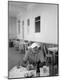 Premium Photographic Print