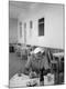 Premium Photographic Print