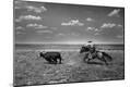 Photographic Print