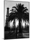 Photographic Print