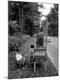 Photographic Print