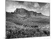 Photographic Print