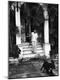 Premium Photographic Print
