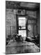 Photographic Print