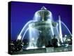 Stretched Canvas Print