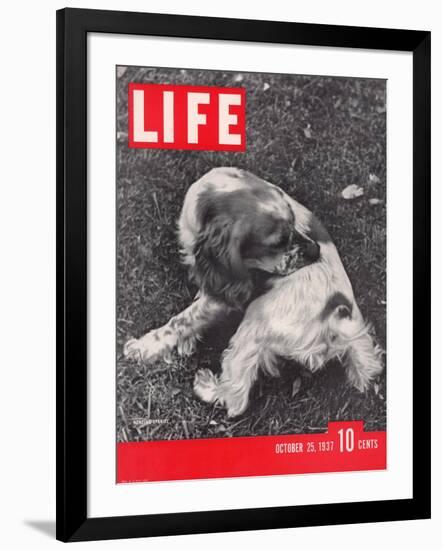 Photographic Print, , large