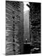 Premium Photographic Print