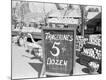 Photographic Print