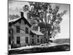 Photographic Print