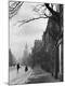 Photographic Print
