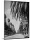 Photographic Print