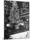 Photographic Print