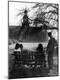 Photographic Print