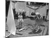 Photographic Print