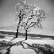 Premium Photographic Print