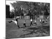Photographic Print
