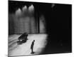 Premium Photographic Print