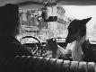 Premium Photographic Print