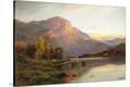Stretched Canvas Print