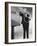 Alfred Hitchcock, Alfred Hitchcock Presents, 1955-null-Framed Photographic Print