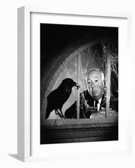 Alfred Hitchcock, photo pour la sortie du fim Les Oiseaux, 1963 (b/w photo)-null-Framed Photo