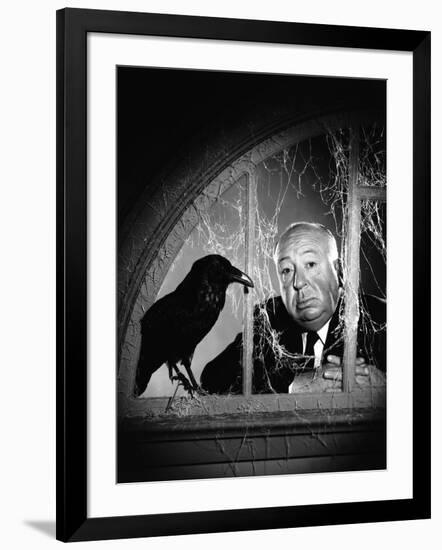 Alfred Hitchcock, photo pour la sortie du fim Les Oiseaux, 1963 (b/w photo)-null-Framed Photo