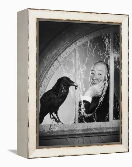 Alfred Hitchcock, photo pour la sortie du fim Les Oiseaux, 1963 (b/w photo)-null-Framed Stretched Canvas