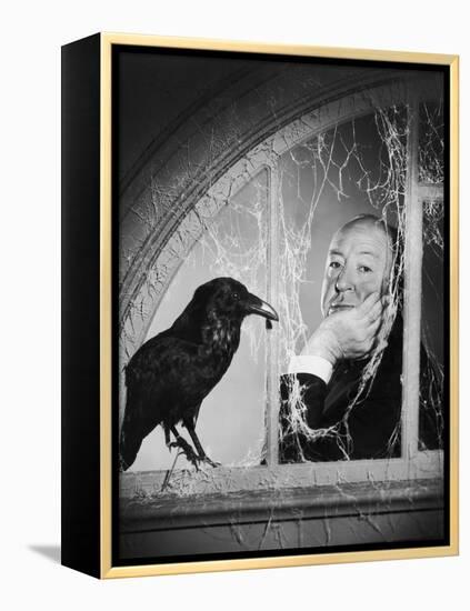 Alfred Hitchcock, photo pour la sortie du fim Les Oiseaux, 1963 (b/w photo)-null-Framed Stretched Canvas