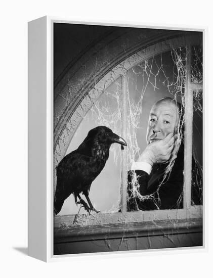 Alfred Hitchcock, photo pour la sortie du fim Les Oiseaux, 1963 (b/w photo)-null-Framed Stretched Canvas