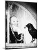 Alfred Hitchcock, The Birds, 1963-null-Mounted Photographic Print