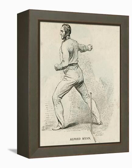 Alfred Mynn, Cricketer-null-Framed Stretched Canvas