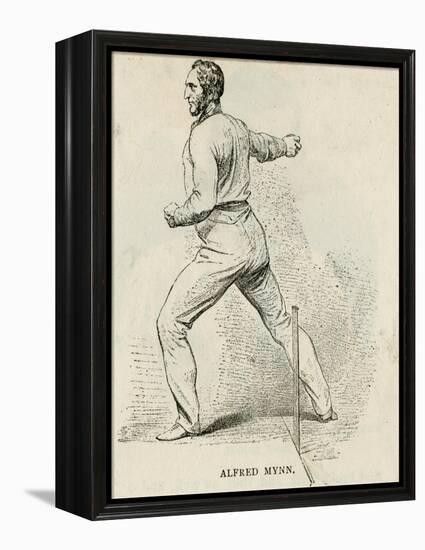 Alfred Mynn, Cricketer-null-Framed Stretched Canvas