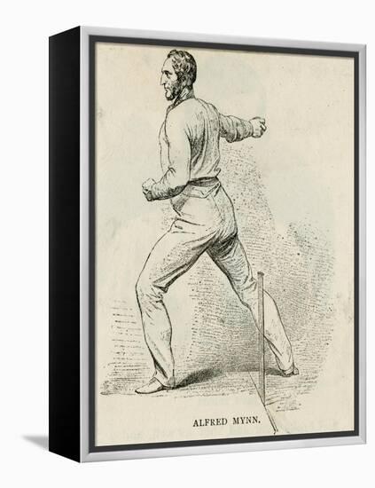 Alfred Mynn, Cricketer-null-Framed Stretched Canvas