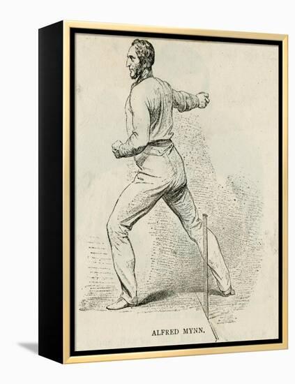 Alfred Mynn, Cricketer-null-Framed Stretched Canvas