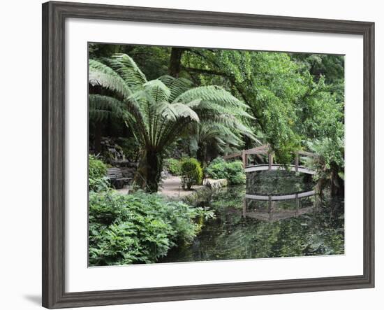 Alfred Nicholas Gardens, Dandenong Ranges National Park, Dandenong Ranges, Victoria, Australia-Jochen Schlenker-Framed Photographic Print