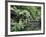 Alfred Nicholas Gardens, Dandenong Ranges National Park, Dandenong Ranges, Victoria, Australia-Jochen Schlenker-Framed Photographic Print