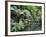 Alfred Nicholas Gardens, Dandenong Ranges National Park, Dandenong Ranges, Victoria, Australia-Jochen Schlenker-Framed Photographic Print