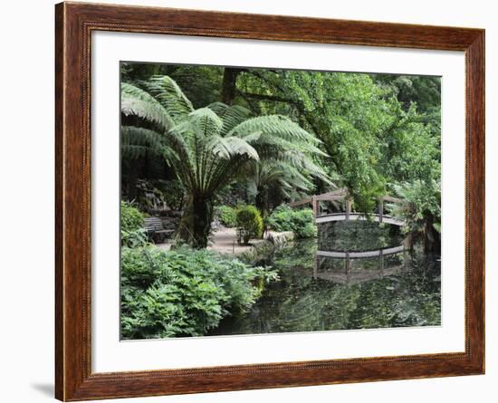 Alfred Nicholas Gardens, Dandenong Ranges National Park, Dandenong Ranges, Victoria, Australia-Jochen Schlenker-Framed Photographic Print