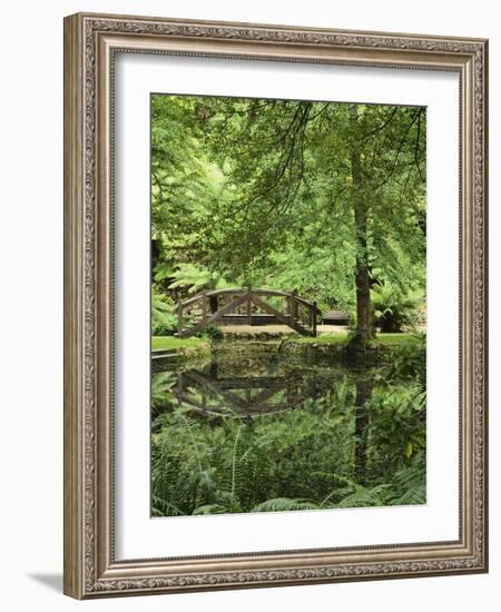 Alfred Nicholas Gardens, Dandenong Ranges National Park, Dandenong Ranges, Victoria, Australia-Jochen Schlenker-Framed Photographic Print