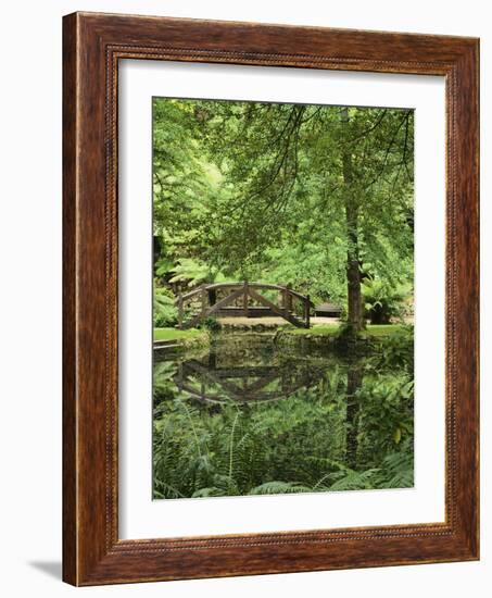 Alfred Nicholas Gardens, Dandenong Ranges National Park, Dandenong Ranges, Victoria, Australia-Jochen Schlenker-Framed Photographic Print