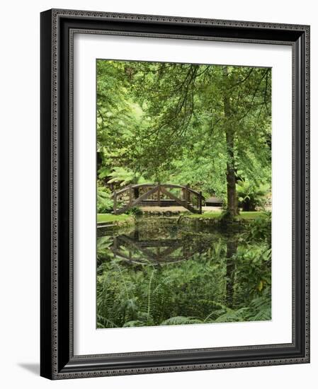 Alfred Nicholas Gardens, Dandenong Ranges National Park, Dandenong Ranges, Victoria, Australia-Jochen Schlenker-Framed Photographic Print