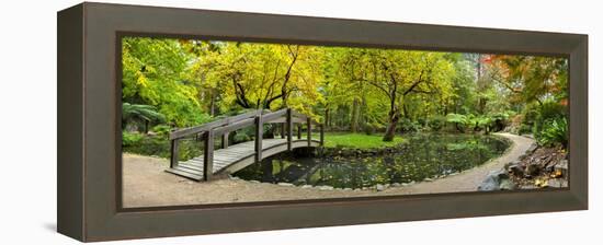 Alfred Nicholas Gardens-Wayne Bradbury-Framed Premier Image Canvas