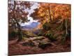 Premium Giclee Print