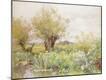 Giclee Print