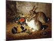 Giclee Print