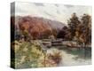 Stretched Canvas Print